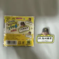 阪神　#37 及川雅貴 アクリルネームクリップバッチ