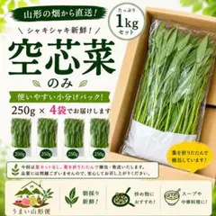 【超お得】朝採り新鮮！空芯菜のみ 1kgセット 山形県産のサムネイル