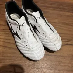 Item thumbnail for item 809c2fdd-6399-4dc6-a43c-f2146eede578