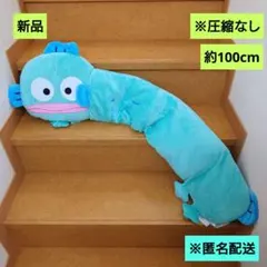 ハンギョドン めっちゃなが～い！ クッション プラチナムザッカ 9個