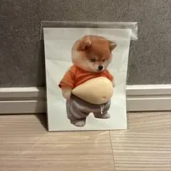 Item thumbnail for item d196d670-9d75-4457-a6ff-35170fbfc179