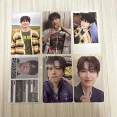 ALD1 ゴヌ Euphoria 封入トレカ MD