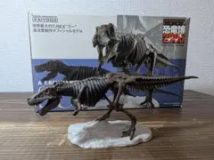 海洋堂 恐竜博2005 T.REX SUE スー全身骨格 箱ありのサムネイル
