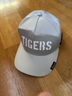 Item thumbnail for item 4e47e555-9aae-40a7-aa63-4705fe62f3f2