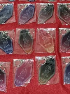 ホロライブ　モーテルキーホルダー　げぜるん　全部セット げぜるん。 on X: 