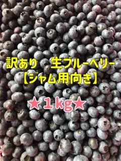 信州産★訳あり★生ブルーベリー1kg【クール便発送】【朝採り】【農薬不使用】のサムネイル