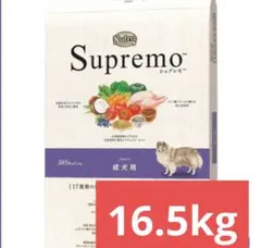 Item thumbnail for item d35ba83d-c7b3-4da3-b744-cf0ce89b2d53