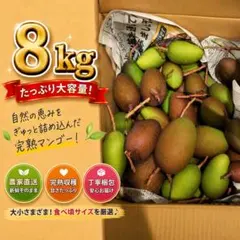 中柚子さま専用 宮崎県産ブルーマンゴー【18kg】のサムネイル