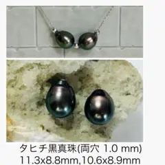 (M1006-1)両穴タヒチバロックパールペアルース