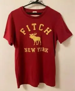 【美品】アバクロ アバクロンビーアンドフィッチ 海外限定 Tシャツ Sサイズ