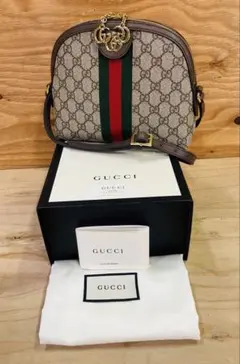 長期保管品 GUCCI グッチ オフィディア GGショルダーバッグ 499621