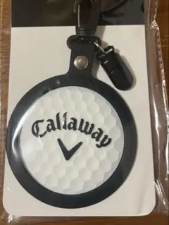 Item thumbnail for item f8cc97b5-a180-4cdb-a073-e3ea7b5bb83d