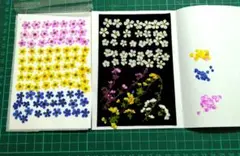 Item thumbnail for item c7372447-4211-4a9c-925c-f3f8cf8cc918