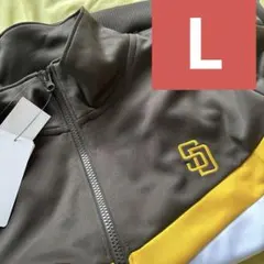 Item thumbnail for item 2e1b386e-053b-4d70-aeaa-653aa3a0c9f6