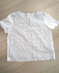 100% a hundred percent 半袖シャツのサムネイル