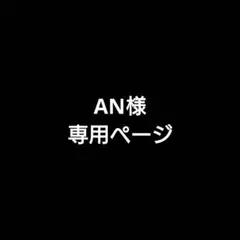 AN様専用ページ