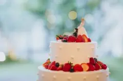 新郎新婦 陶器製 ケーキトッパー