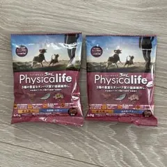 【新品】Physical lifeドッグフード40g×2 白身魚 大豆入り