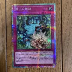 遊戯王 命王の螺旋 3枚 SER DOOD アジア 亜 命王の螺旋 価格相場(値段)・最安値(遊戯王) | トレカネット