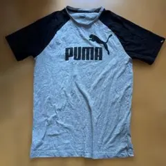 PUMA ロゴ Tシャツ グレー/ブラック