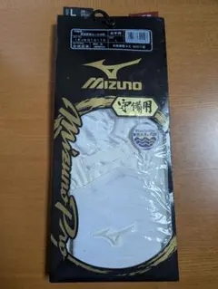 Mizuno Pro 守備用手袋 Lサイズ