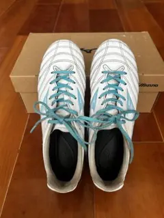 Item thumbnail for item bfe7bf7e-cc1a-4302-a05a-c873de2d6ec1