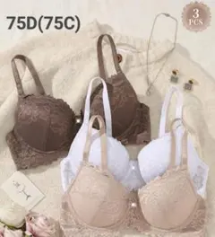 新品　SHEIN　ブラジャー　75D(75C)　3色セット　レース　下着　肌着のサムネイル