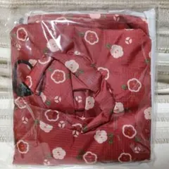 Item thumbnail for item 057fa3bc-3215-4093-8316-759a10f7b4de