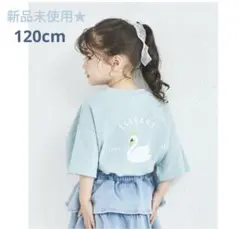 pairmanon 【吸水速乾】サマーファンクションバック刺繍半袖Tシャツ