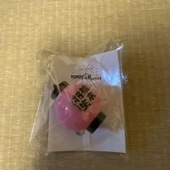 timelesz橋本将生　ぬい＆ちょうちんキーホルダー&ライトバングル timelesz バングルライト ちょうちんキーホルダー 橋本将生 - メルカリ