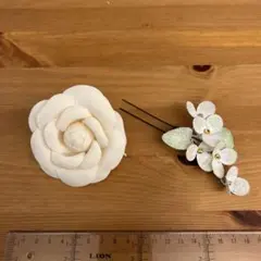 Item thumbnail for item 358dc296-8061-46f8-8f3e-cee70921ce4d