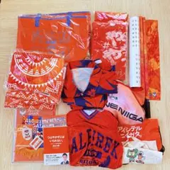 3点セット】アルビレックス新潟 長谷川元希選手 神ユニ冷感タオル新品