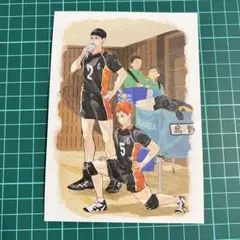 2025年最新】ハイキュー!! 影山飛雄 ポストカードの人気アイテム