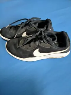 Item thumbnail for item a23f5588-aea2-46b9-a98e-474aa7542589