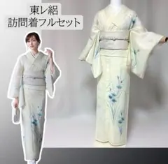 感謝価格】東レ 絽 訪問着 フルセット 夏帯 四季対応小物 超トール