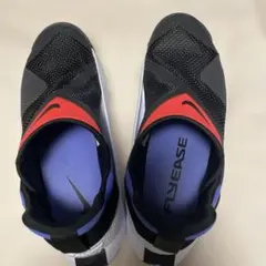 Nike ゴーフライ イーズ ウィメンズ　25cm