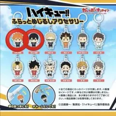 ハイキュー‼︎ ふらっとめじるしアクセサリー
