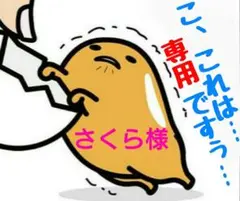 さくら様 リクエスト 2点 まとめ商品