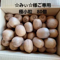 ☆みぃ☆様ご専用　極小粒　キウイフルーツ　ヘイワード　80個