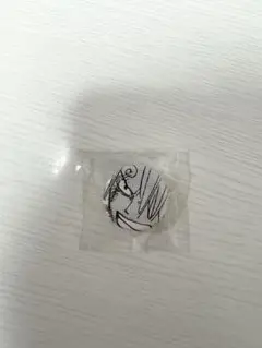 RT-110960様専用　ワンピース　バッヂ