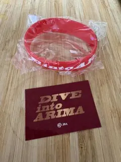 第70回有馬記念　Hey!Say!JUMP