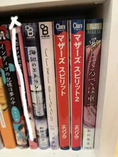 BL漫画 バラ売り可能