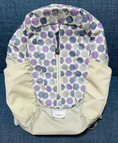 ノースフェイス テルス20 キッズ リュック TELLUS20 バックパック
