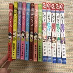 極妻デイズ 全巻 15巻完結 - メルカリ