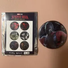 MARVEL 缶バッジ アントマン ブラックウィドウ ファルコン - メルカリ