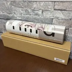 アイドリッシュセブン アイナナ ポスター ZOOL 棗巳波 巳波 早期予約特典