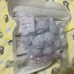 SnowMan 国立スタジアムツアー ペンライト