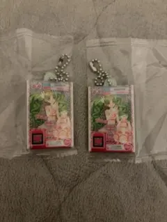 ファルル だれでもアクリルチャーム プリパラ ガチャガチャ