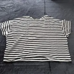 ボーダー 半袖