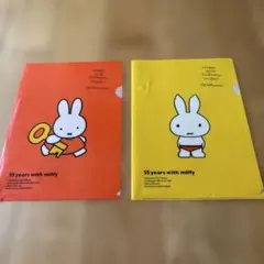 Item thumbnail for item 4abfcacd-bf7c-49b5-8c4a-69bb343f8337